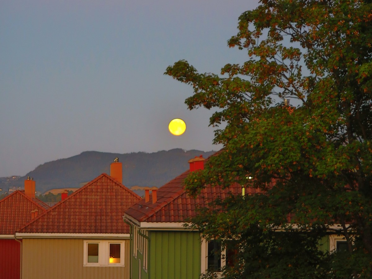 Hayallerinden vazgeçmeye övgü