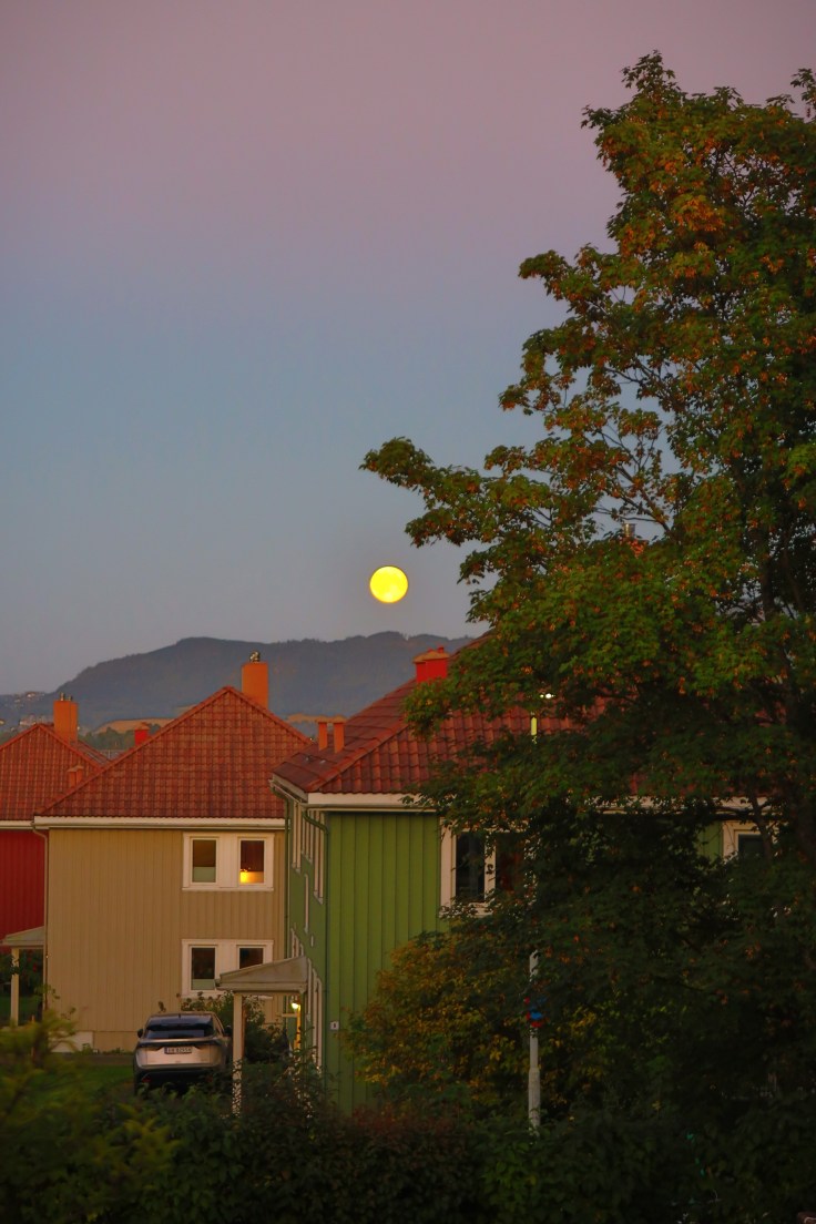 Hayallerinden vazgeçmeye övgü